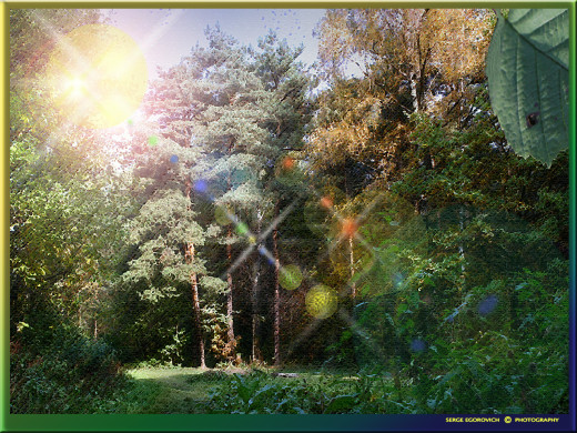 35178 (a): :1280x960